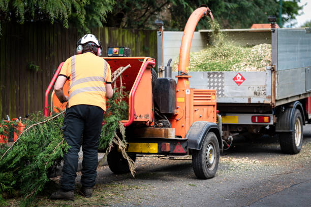  Gun Barrel City, TX Tree Care Services Pros