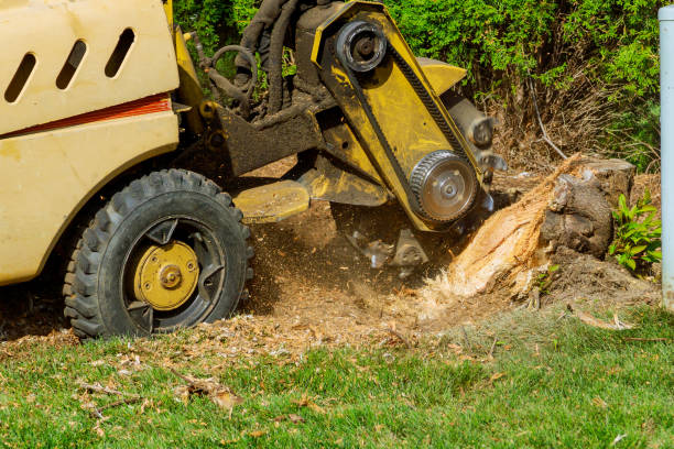 Lawn Watering Services in Gun Barrel City, TX